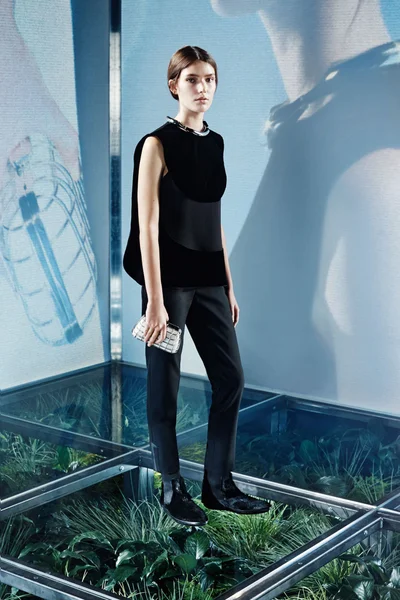 Look 15